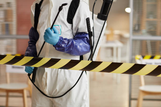 Professional Sewage Cleanup technician working in Waverly, TN